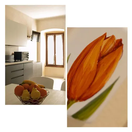 Apartman Flower